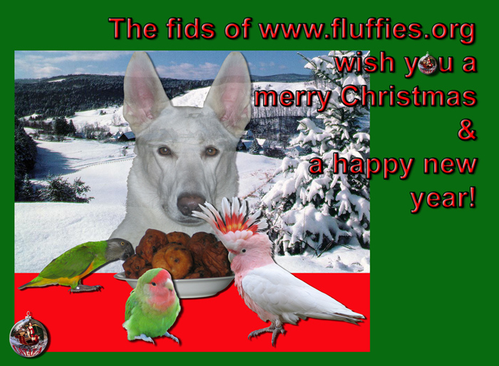 Iago, Zazu, Flit & Nenya wish you a wonderful Christmas & a fantastic 2005!