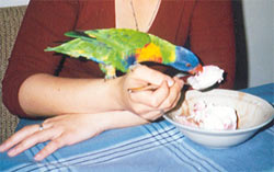 Hey! Gimme some! It's my birdday too! :-)